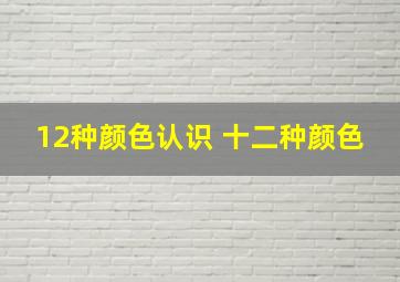 12种颜色认识 十二种颜色